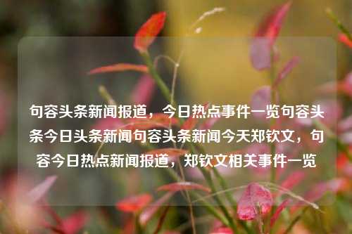 句容头条新闻报道，今日热点事件一览句容头条今日头条新闻句容头条新闻今天郑钦文，句容今日热点新闻报道，郑钦文相关事件一览，句容今日新闻热点，郑钦文相关事件一览