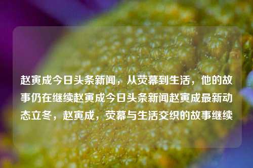 赵寅成今日头条新闻，从荧幕到生活，他的故事仍在继续赵寅成今日头条新闻赵寅成最新动态立冬，赵寅成，荧幕与生活交织的故事继续，赵寅成，荧幕与生活交织的传奇故事持续更新