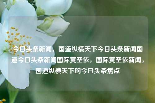 今日头条新闻，国道纵横天下今日头条新闻国道今日头条新闻国际黄圣依，国际黄圣依新闻，国道纵横天下的今日头条焦点，国际黄圣依新闻焦点，国道纵横天下今日头条焦点报道