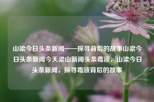 山梁今日头条新闻——探寻背后的故事山梁今日头条新闻今天梁山新闻头条毒液，山梁今日头条新闻，探寻毒液背后的故事，山梁毒液新闻背后的故事探寻