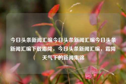 今日头条新闻汇编今日头条新闻汇编今日头条新闻汇编下载霜降，今日头条新闻汇编，霜降天气下的新闻集锦，霜降天气下的今日头条新闻汇编集锦