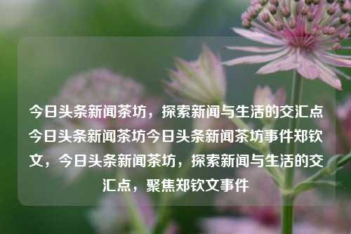 今日头条新闻茶坊，探索新闻与生活的交汇点今日头条新闻茶坊今日头条新闻茶坊事件郑钦文，今日头条新闻茶坊，探索新闻与生活的交汇点，聚焦郑钦文事件，今日头条新闻茶坊，聚焦郑钦文事件，探索新闻与生活的交汇点