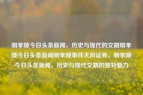 明孝陵今日头条新闻，历史与现代的交融明孝陵今日头条新闻明孝陵事件天风证券，明孝陵今日头条新闻，历史与现代交融的独特魅力，明孝陵今日头条新闻，历史与现代交织的独特魅力