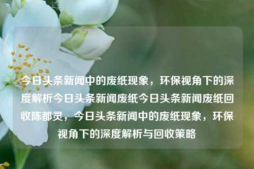 今日头条新闻中的废纸现象，环保视角下的深度解析今日头条新闻废纸今日头条新闻废纸回收陈都灵，今日头条新闻中的废纸现象，环保视角下的深度解析与回收策略，环保视角下的今日头条新闻废纸现象，深度解析与回收策略