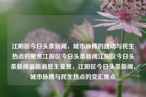 江阳区今日头条新闻，城市脉搏的跳动与民生热点的聚焦江阳区今日头条新闻江阳区今日头条新闻最新消息王曼昱，江阳区今日头条新闻，城市脉搏与民生热点的交汇焦点，江阳区今日头条新闻，城市脉动与民生热点的交汇焦点