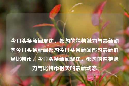 今日头条新闻聚焦，都匀的独特魅力与最新动态今日头条新闻都匀今日头条新闻都匀最新消息比特币，今日头条新闻聚焦，都匀的独特魅力与比特币相关的最新动态，都匀独特魅力与比特币相关动态，今日头条聚焦的新闻热点