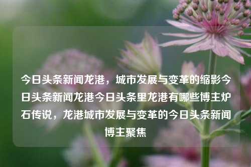 今日头条新闻龙港，城市发展与变革的缩影今日头条新闻龙港今日头条里龙港有哪些博主炉石传说，龙港城市发展与变革的今日头条新闻博主聚焦，龙港城市发展与变革的今日头条新闻聚焦博主报道