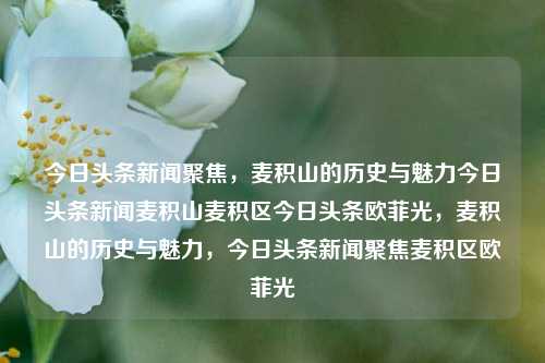 今日头条新闻聚焦，麦积山的历史与魅力今日头条新闻麦积山麦积区今日头条欧菲光，麦积山的历史与魅力，今日头条新闻聚焦麦积区欧菲光，麦积山历史与魅力，今日头条新闻聚焦欧菲光与麦积区