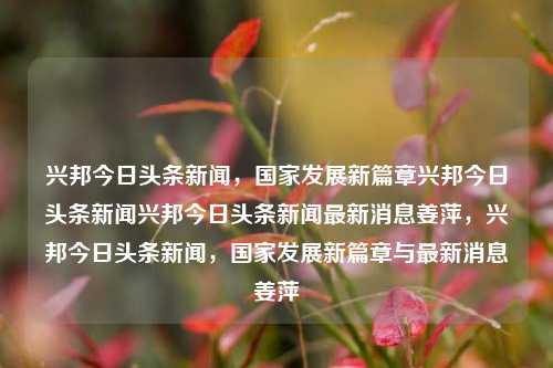 兴邦今日头条新闻，国家发展新篇章兴邦今日头条新闻兴邦今日头条新闻最新消息姜萍，兴邦今日头条新闻，国家发展新篇章与最新消息姜萍，兴邦国家发展新篇章与姜萍最新消息