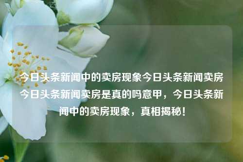 今日头条新闻中的卖房现象今日头条新闻卖房今日头条新闻卖房是真的吗意甲，今日头条新闻中的卖房现象，真相揭秘！，今日头条新闻揭秘卖房现象，真相究竟如何？