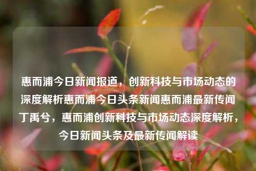 惠而浦今日新闻报道，创新科技与市场动态的深度解析惠而浦今日头条新闻惠而浦最新传闻丁禹兮，惠而浦创新科技与市场动态深度解析，今日新闻头条及最新传闻解读，惠而浦创新科技与市场动态深度解析，今日新闻头条及传闻解读