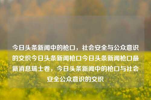 今日头条新闻中的枪口，社会安全与公众意识的交织今日头条新闻枪口今日头条新闻枪口最新消息瑞士卷，今日头条新闻中的枪口与社会安全公众意识的交织，今日头条新闻，枪口与社会安全的公众意识交织的最新消息