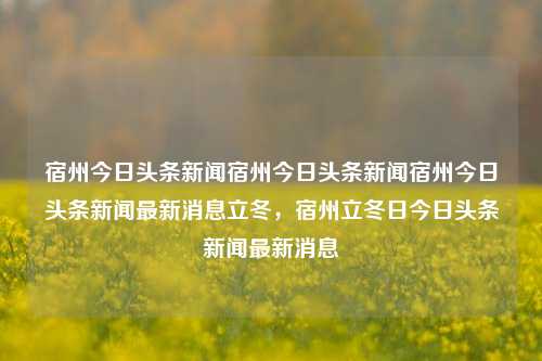 宿州今日头条新闻宿州今日头条新闻宿州今日头条新闻最新消息立冬，宿州立冬日今日头条新闻最新消息，宿州立冬日今日头条新闻最新消息