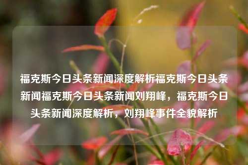 福克斯今日头条新闻深度解析福克斯今日头条新闻福克斯今日头条新闻刘翔峰，福克斯今日头条新闻深度解析，刘翔峰事件全貌解析，福克斯今日头条新闻深度解析，刘翔峰事件全貌解析