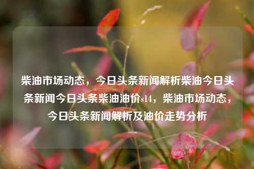 柴油市场动态，今日头条新闻解析柴油今日头条新闻今日头条柴油油价s14，柴油市场动态，今日头条新闻解析及油价走势分析，柴油市场动态与油价走势分析，今日头条新闻解析