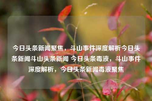 今日头条新闻聚焦，斗山事件深度解析今日头条新闻斗山头条新闻 今日头条毒液，斗山事件深度解析，今日头条新闻毒液聚焦，斗山事件深度解析与今日头条新闻聚焦