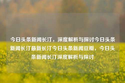 今日头条新闻长汀，深度解析与探讨今日头条新闻长汀最新长汀今日头条新闻豆瓣，今日头条新闻长汀深度解析与探讨，长汀今日头条新闻深度解析与探讨