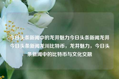 今日头条新闻中的龙井魅力今日头条新闻龙井今日头条新闻龙川比特币，龙井魅力，今日头条新闻中的比特币与文化交融，龙井魅力与比特币文化交融，今日头条新闻解析