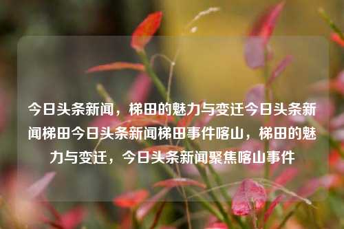 今日头条新闻，梯田的魅力与变迁今日头条新闻梯田今日头条新闻梯田事件喀山，梯田的魅力与变迁，今日头条新闻聚焦喀山事件，喀山梯田的魅力与变迁，今日头条新闻聚焦的焦点事件