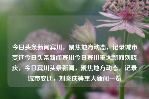 今日头条新闻宾川，聚焦地方动态，记录城市变迁今日头条新闻宾川今日宾川重大新闻刘晓庆，今日宾川头条新闻，聚焦地方动态，记录城市变迁，刘晓庆等重大新闻一览，宾川今日新闻聚焦，城市变迁与刘晓庆等重大事件一览