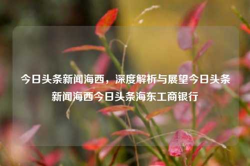 今日头条新闻海西，深度解析与展望今日头条新闻海西今日头条海东工商银行