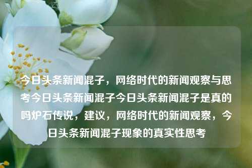 今日头条新闻混子，网络时代的新闻观察与思考今日头条新闻混子今日头条新闻混子是真的吗炉石传说，建议，网络时代的新闻观察，今日头条新闻混子现象的真实性思考，网络时代新闻观察，今日头条新闻混子现象探究