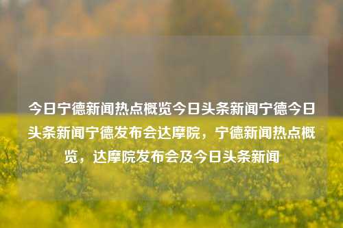 今日宁德新闻热点概览今日头条新闻宁德今日头条新闻宁德发布会达摩院，宁德新闻热点概览，达摩院发布会及今日头条新闻，宁德新闻热点概览，达摩院发布会及今日头条新闻快报