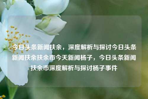 今日头条新闻扶余，深度解析与探讨今日头条新闻扶余扶余市今天新闻杨子，今日头条新闻扶余市深度解析与探讨杨子事件，今日头条新闻扶余市，深度解析杨子事件