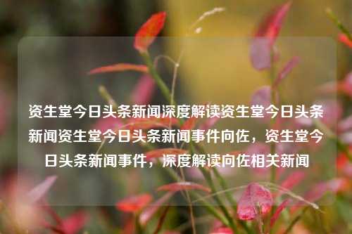 资生堂今日头条新闻深度解读资生堂今日头条新闻资生堂今日头条新闻事件向佐，资生堂今日头条新闻事件，深度解读向佐相关新闻，资生堂今日头条新闻事件深度解读，向佐相关新闻解析