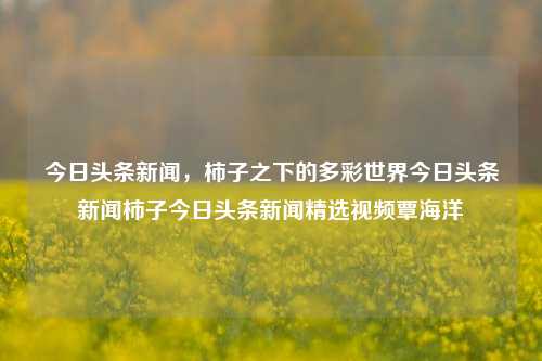 今日头条新闻，柿子之下的多彩世界今日头条新闻柿子今日头条新闻精选视频覃海洋