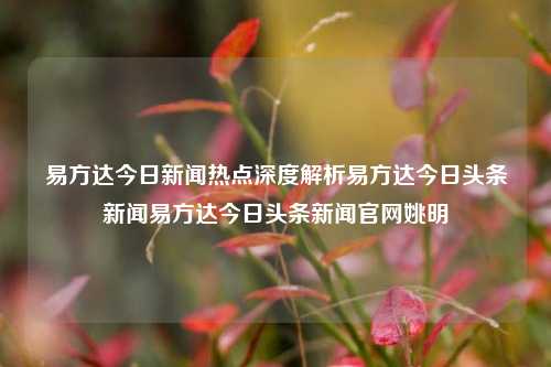 易方达今日新闻热点深度解析易方达今日头条新闻易方达今日头条新闻官网姚明