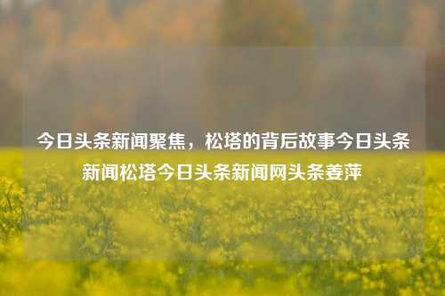 今日头条新闻聚焦，松塔的背后故事今日头条新闻松塔今日头条新闻网头条姜萍