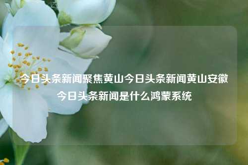 今日头条新闻聚焦黄山今日头条新闻黄山安徽今日头条新闻是什么鸿蒙系统