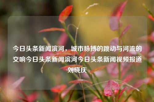 今日头条新闻滨河，城市脉搏的跳动与河流的交响今日头条新闻滨河今日头条新闻视频报道刘晓庆