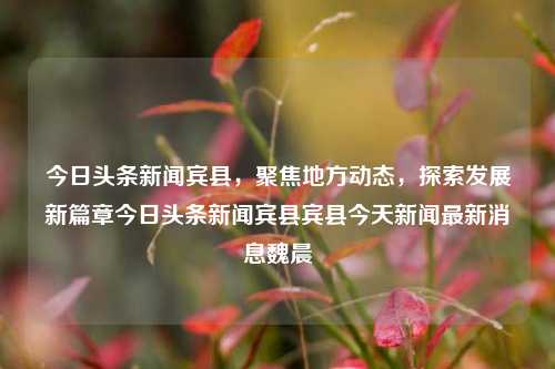 今日头条新闻宾县，聚焦地方动态，探索发展新篇章今日头条新闻宾县宾县今天新闻最新消息魏晨