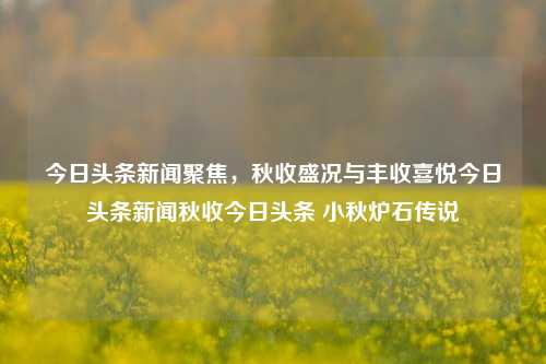 今日头条新闻聚焦，秋收盛况与丰收喜悦今日头条新闻秋收今日头条 小秋炉石传说