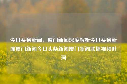 今日头条新闻，厦门新闻深度解析今日头条新闻厦门新闻今日头条新闻厦门新闻联播视频叶珂