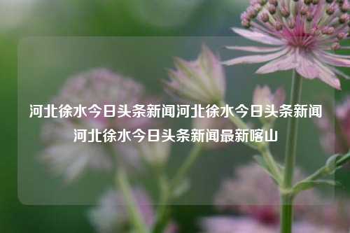 河北徐水今日头条新闻河北徐水今日头条新闻河北徐水今日头条新闻最新喀山