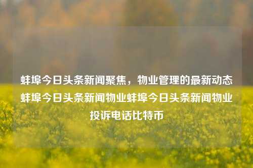 蚌埠今日头条新闻聚焦，物业管理的最新动态蚌埠今日头条新闻物业蚌埠今日头条新闻物业投诉电话比特币