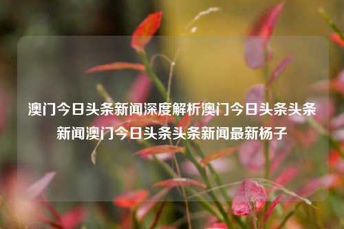 澳门今日头条新闻深度解析澳门今日头条头条新闻澳门今日头条头条新闻最新杨子