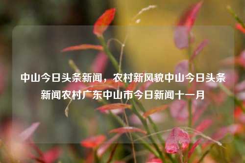 中山今日头条新闻，农村新风貌中山今日头条新闻农村广东中山市今日新闻十一月