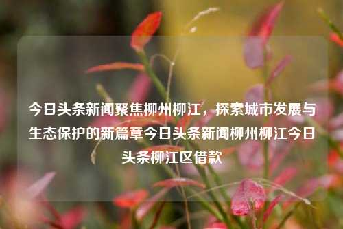 今日头条新闻聚焦柳州柳江，探索城市发展与生态保护的新篇章今日头条新闻柳州柳江今日头条柳江区借款