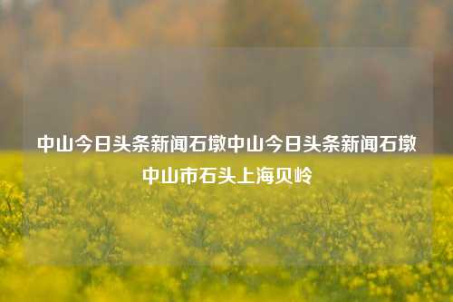 中山今日头条新闻石墩中山今日头条新闻石墩中山市石头上海贝岭