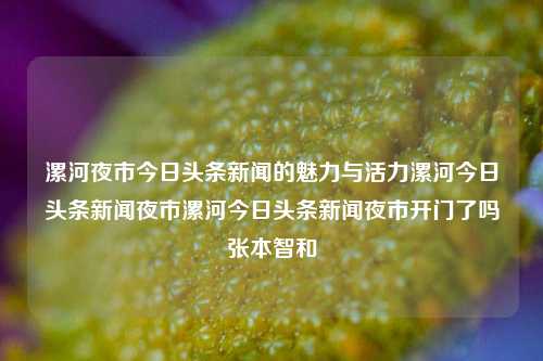 漯河夜市今日头条新闻的魅力与活力漯河今日头条新闻夜市漯河今日头条新闻夜市开门了吗张本智和