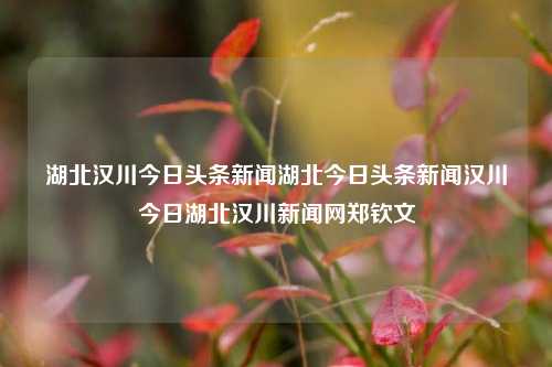 湖北汉川今日头条新闻湖北今日头条新闻汉川今日湖北汉川新闻网郑钦文