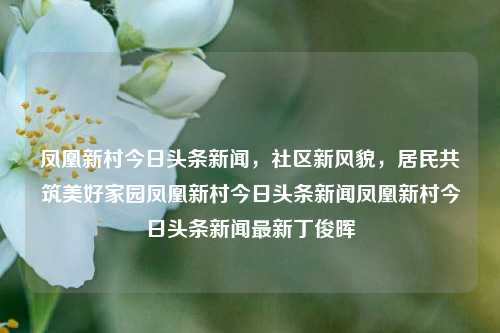 凤凰新村今日头条新闻，社区新风貌，居民共筑美好家园凤凰新村今日头条新闻凤凰新村今日头条新闻最新丁俊晖