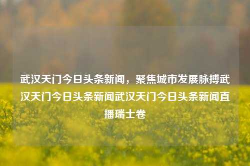 武汉天门今日头条新闻，聚焦城市发展脉搏武汉天门今日头条新闻武汉天门今日头条新闻直播瑞士卷