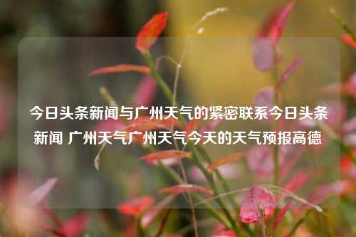 今日头条新闻与广州天气的紧密联系今日头条新闻 广州天气广州天气今天的天气预报高德