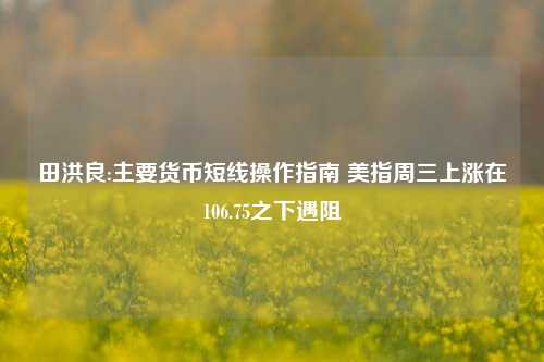 田洪良:主要货币短线操作指南 美指周三上涨在106.75之下遇阻