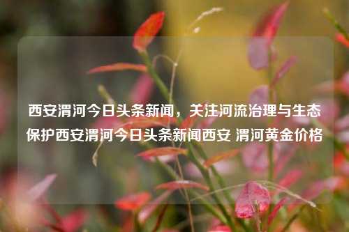 西安渭河今日头条新闻，关注河流治理与生态保护西安渭河今日头条新闻西安 渭河黄金价格